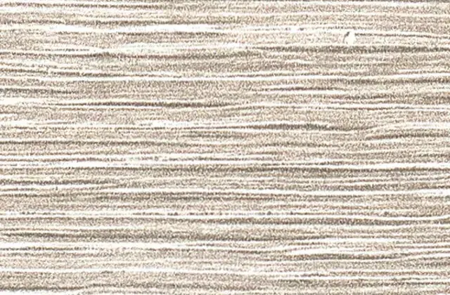 1381 Transversal Oak