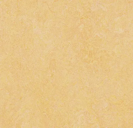 Marmoleum Authentic 3846 natural corn